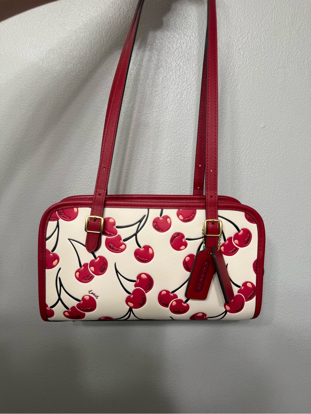 Coach Swing Zip in Cherry Print NWOT